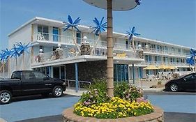 Blue Palms Resort Wildwood Nj